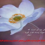 دانلود آهنگ سلطان قلب خود تاج سرت کردم از معین
